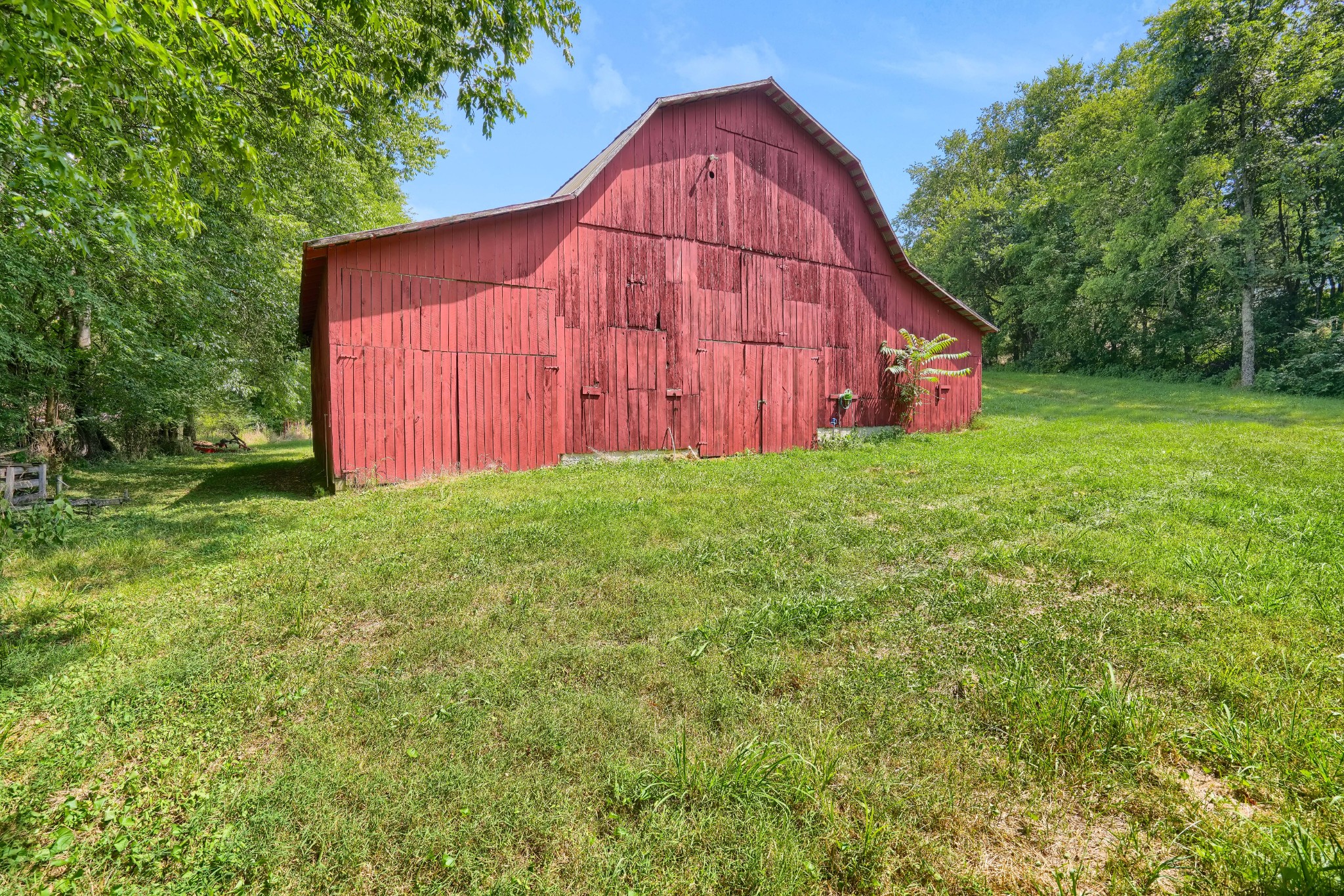 911 Petersburg-Chestnut Ridge Road Petersburg, TN 37144 - Photo 5 of 57 a view of a backyard with potted plants and large tree