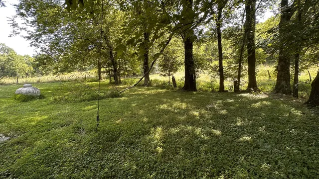 a view of a chairs and table in the patio