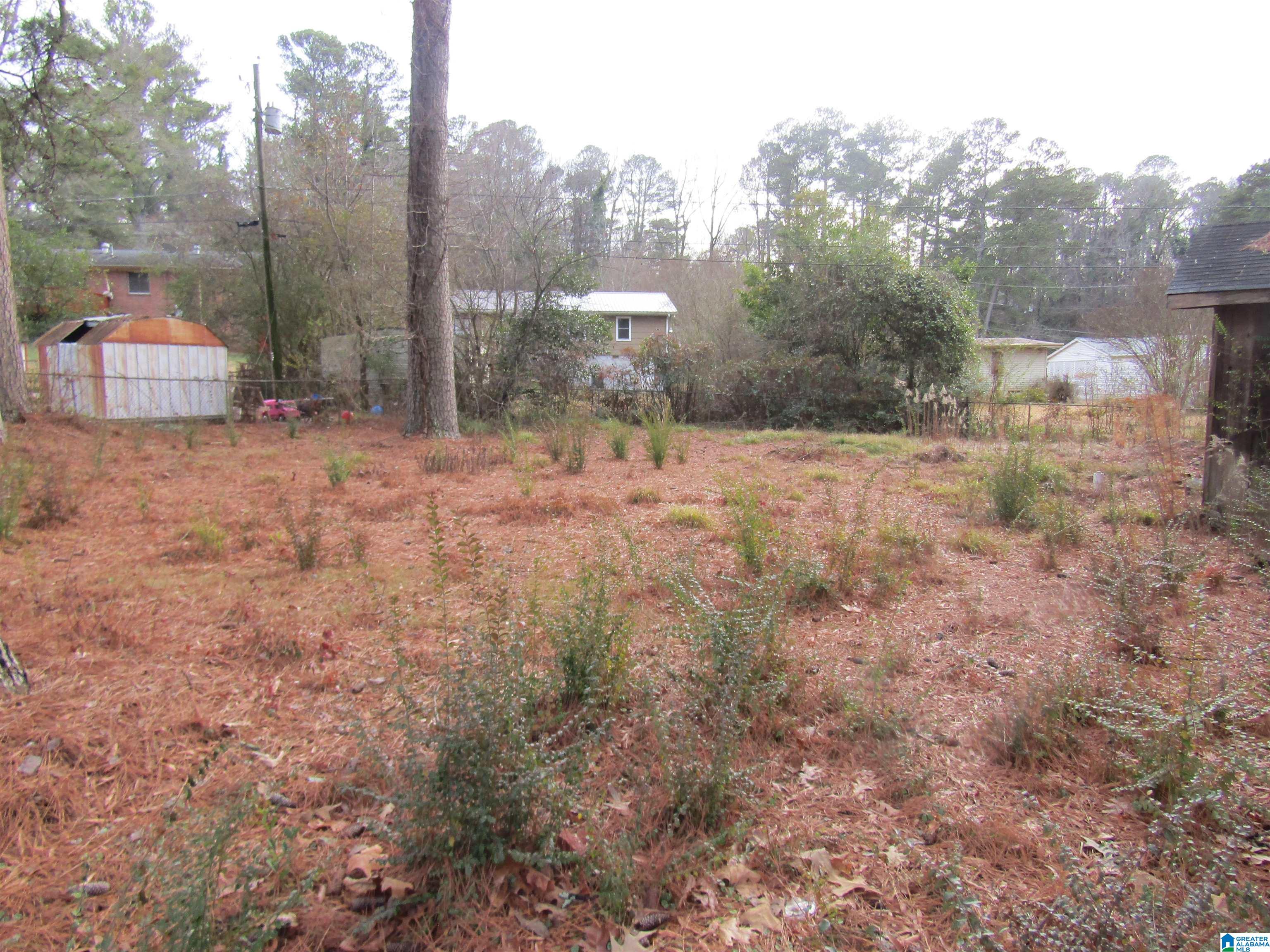 9824 Red Mill Road Birmingham, AL 35215 - Photo 3 of 4