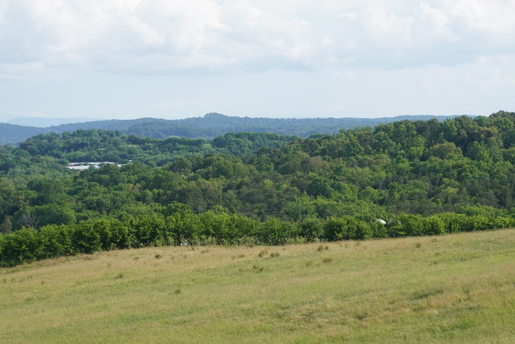 2 Burchell Road New Market, TN 37820 - Photo 5 of 17 Gallery Image 5