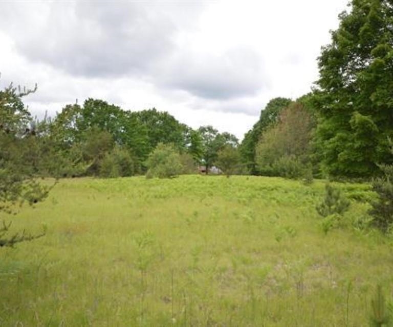 0 43 North 43 1/2 Road, Unit LOT: B Manton, MI 49663 - Photo 7 of 12