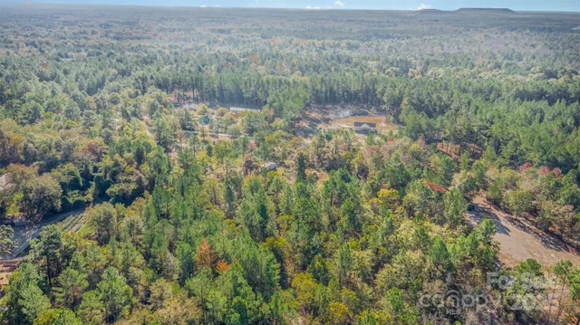 a view of a lush green forest with trees and some houses