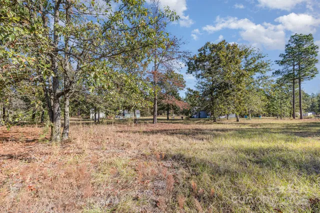 a view of yard with trees