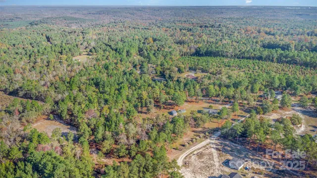 a view of a lush green forest with lots of trees