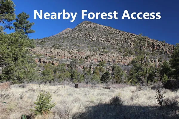 $2,600 | 3950 East Philip Avenue, Flagstaff, AZ 86004