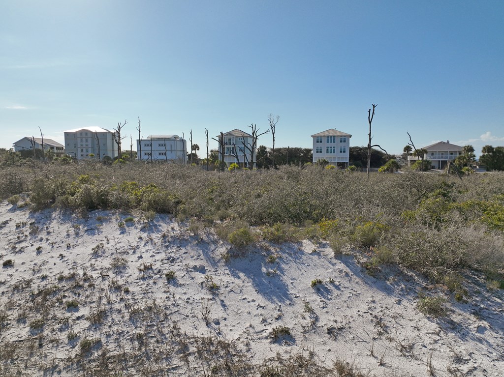 185 Bent Tree Road, Unit LOT 6 Port St. Joe, FL 32456 - Photo 2 of 27