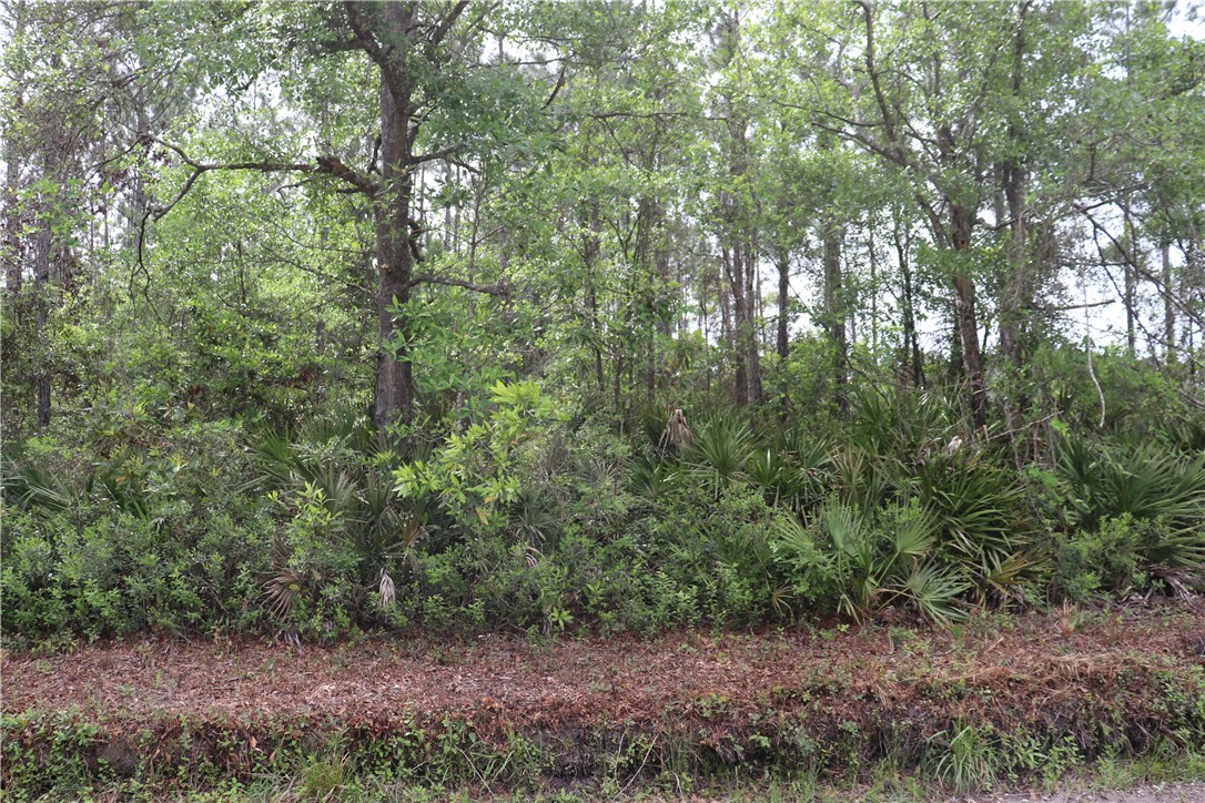 Lot 4 Mentoria Road Yulee, FL 32097 - Photo 1 of 8 Gallery Image 1
