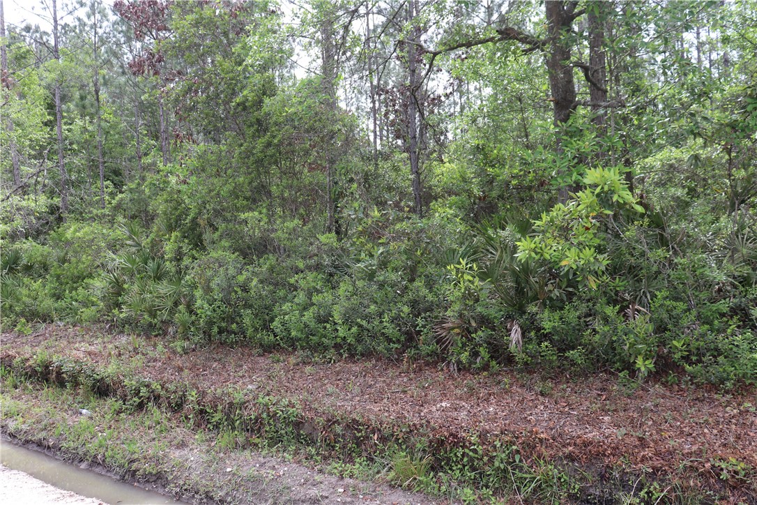 Lot 4 Mentoria Road Yulee, FL 32097 - Photo 2 of 8 Gallery Image 2