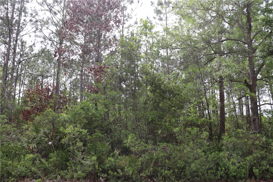 Lot 4 Mentoria Road Yulee, FL 32097 - Photo 5 of 8 Gallery Image 5