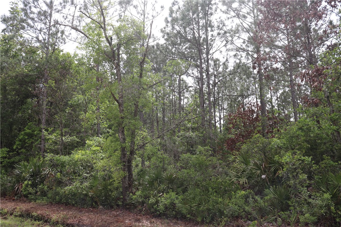 Lot 4 Mentoria Road Yulee, FL 32097 - Photo 6 of 8 Gallery Image 6