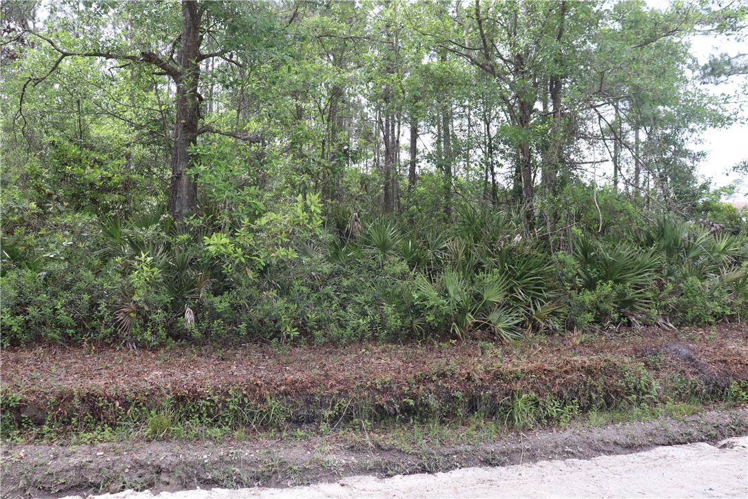 Lot 4 Mentoria Road Yulee, FL 32097 - Photo 7 of 8 Gallery Image 7
