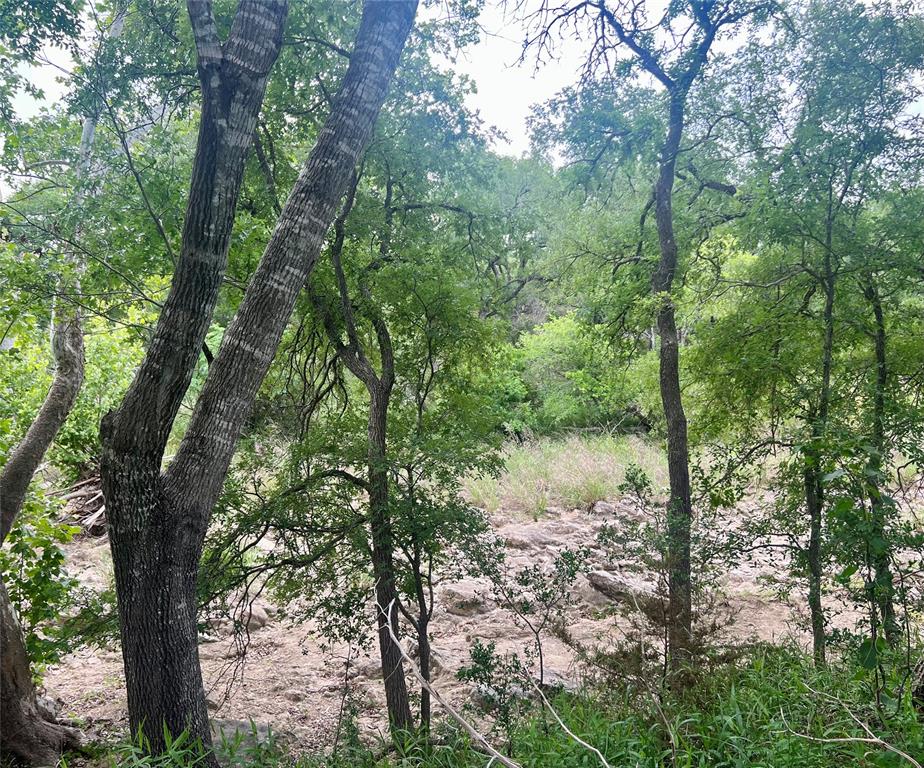 Tbd Narrows Road Blanco, TX 78606 - Photo 10 of 18