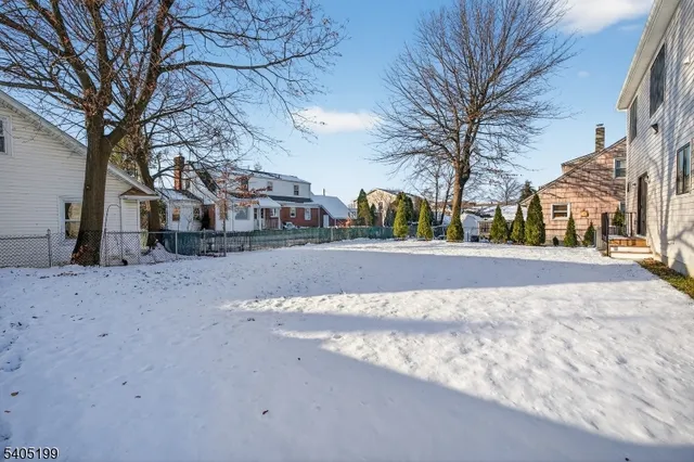 a street view with large trees
