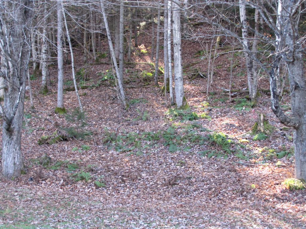 155 Dog Pond Road Woodbury, VT 05650 - Photo 34 of 36