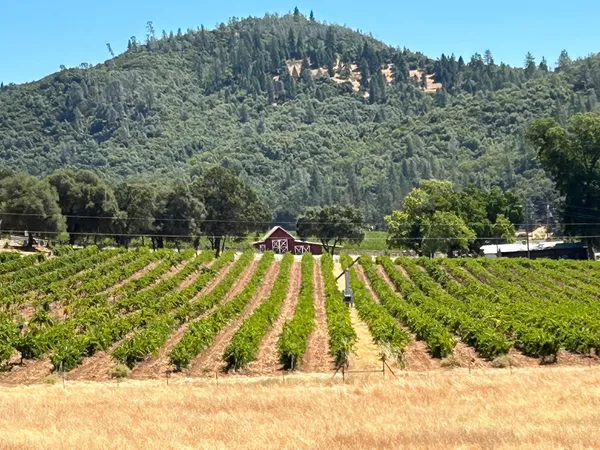 $3,399,000 | 7449 Esmeralda Road, San Andreas, CA 95249