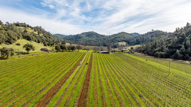 a view of an swimming pool with a yard and mountain view