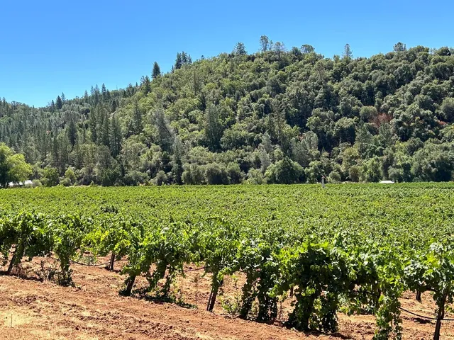 a view of a garden with an outdoor space
