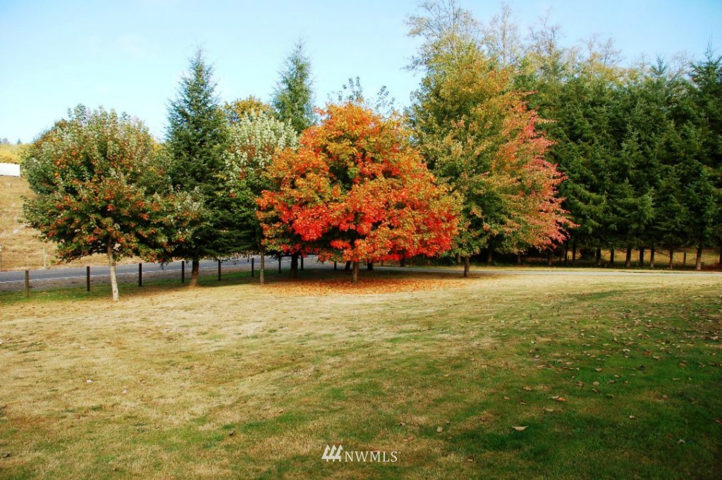 260 View Ridge Road Onalaska, WA 98570 - Photo 10 of 15 Gallery Image 10