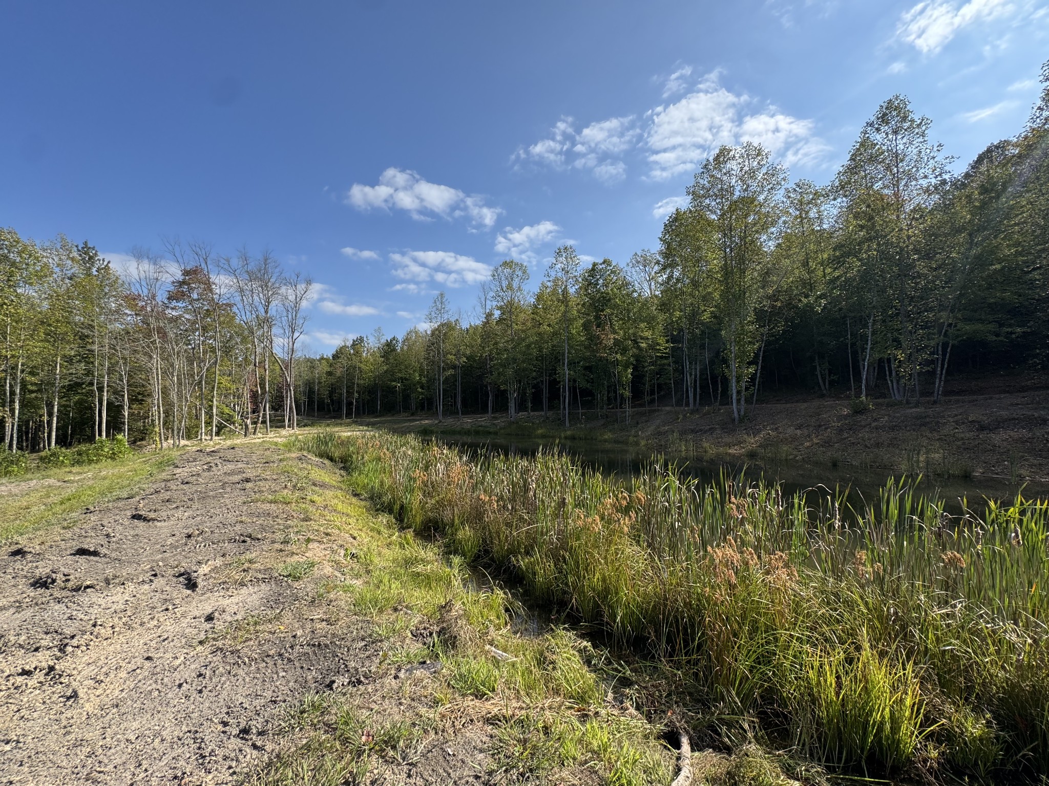 4715 Fortyeight Creek Road Waynesboro, TN 38485 - Photo 11 of 49