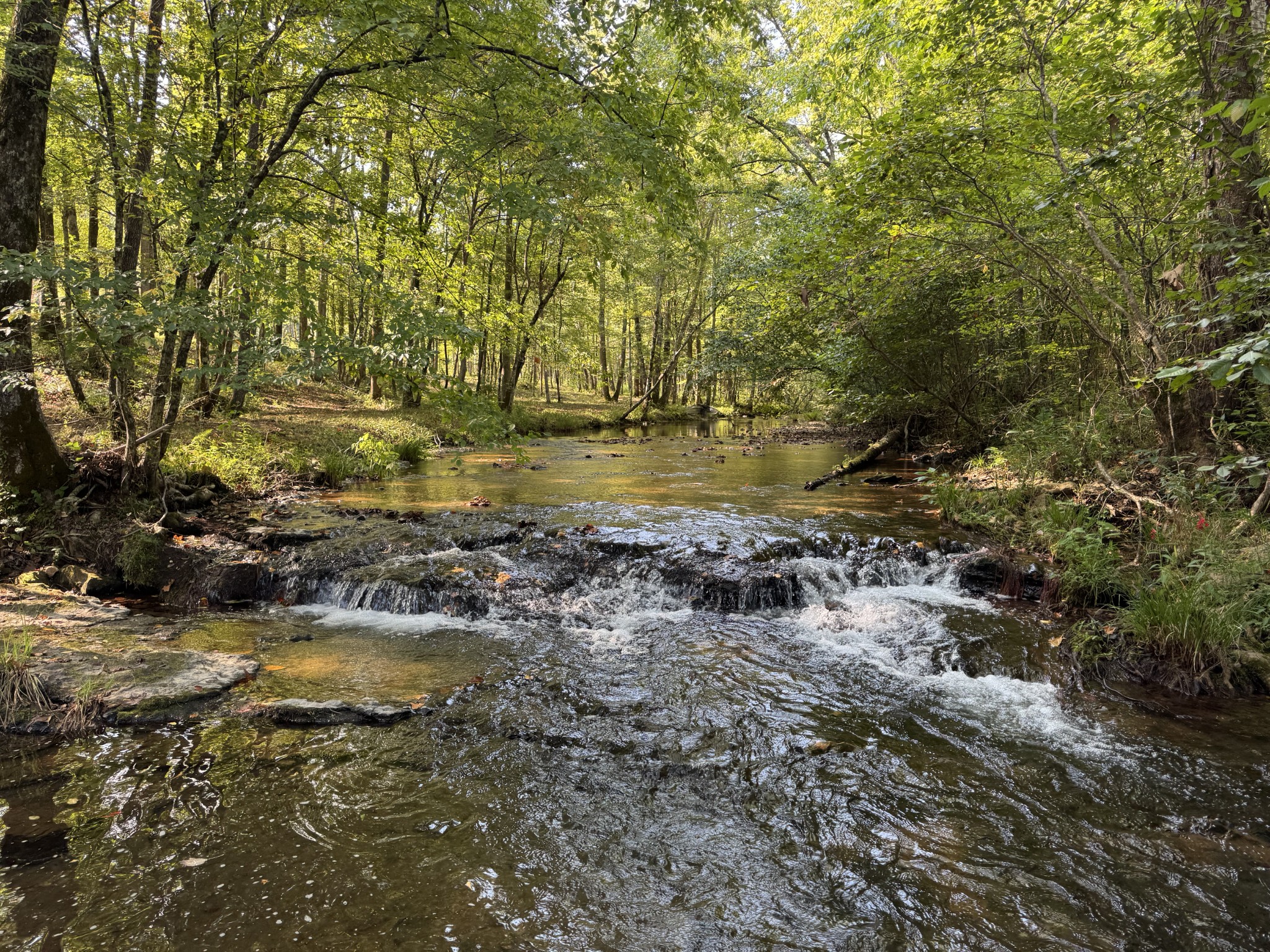 4715 Fortyeight Creek Road Waynesboro, TN 38485 - Photo 12 of 49