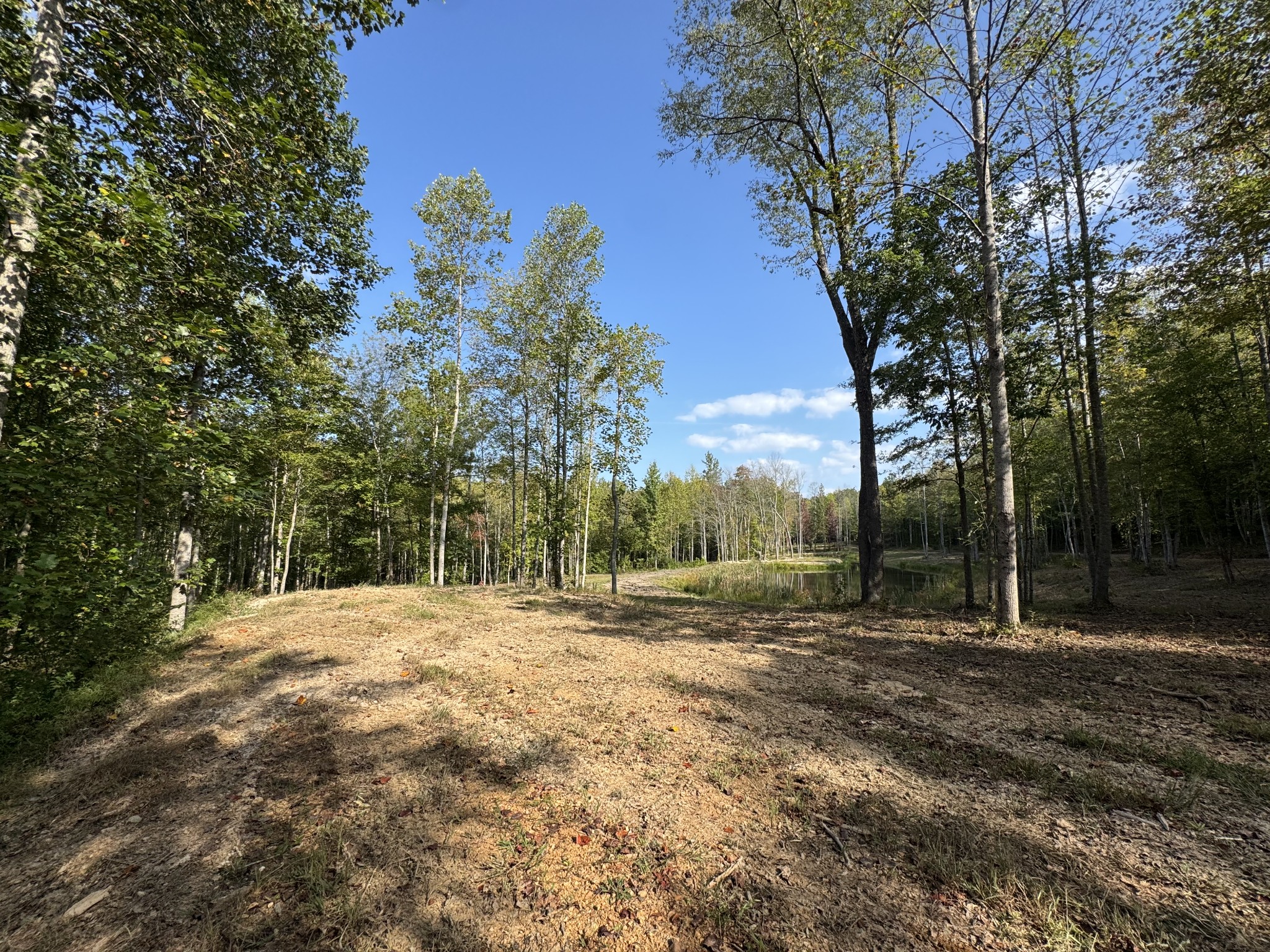 4715 Fortyeight Creek Road Waynesboro, TN 38485 - Photo 13 of 49