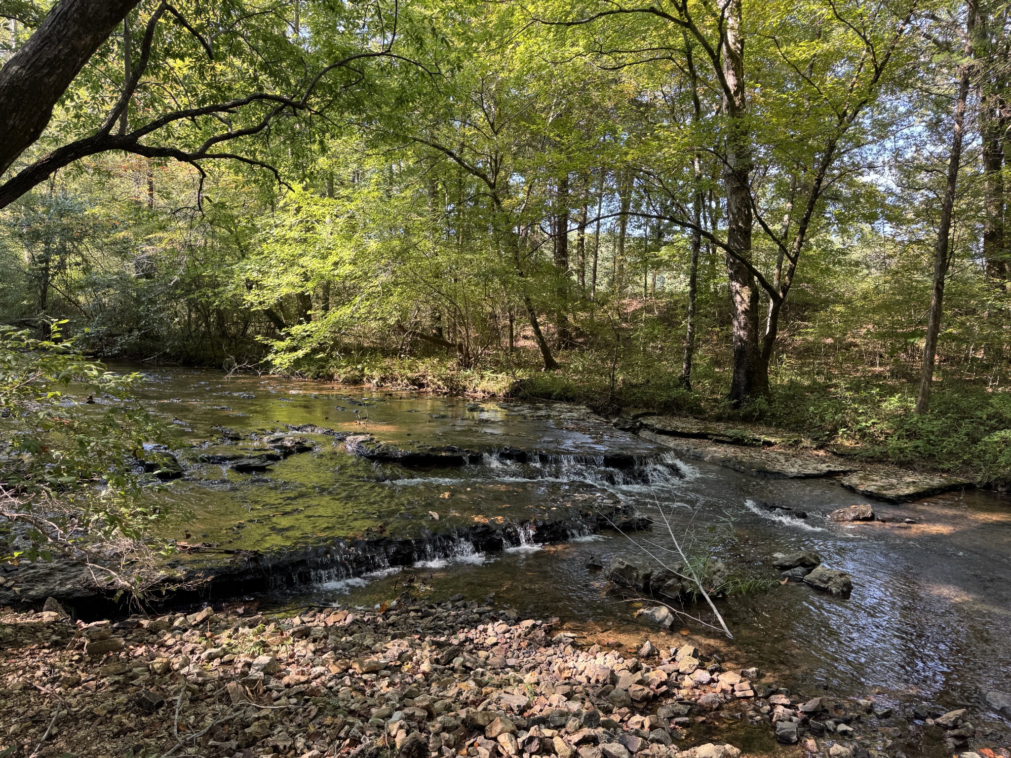 4715 Fortyeight Creek Road Waynesboro, TN 38485 - Photo 14 of 49