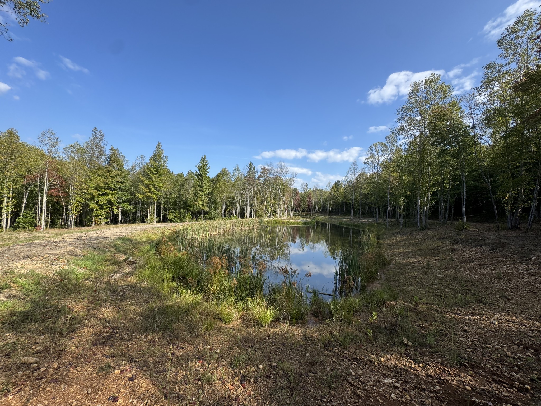 4715 Fortyeight Creek Road Waynesboro, TN 38485 - Photo 16 of 49