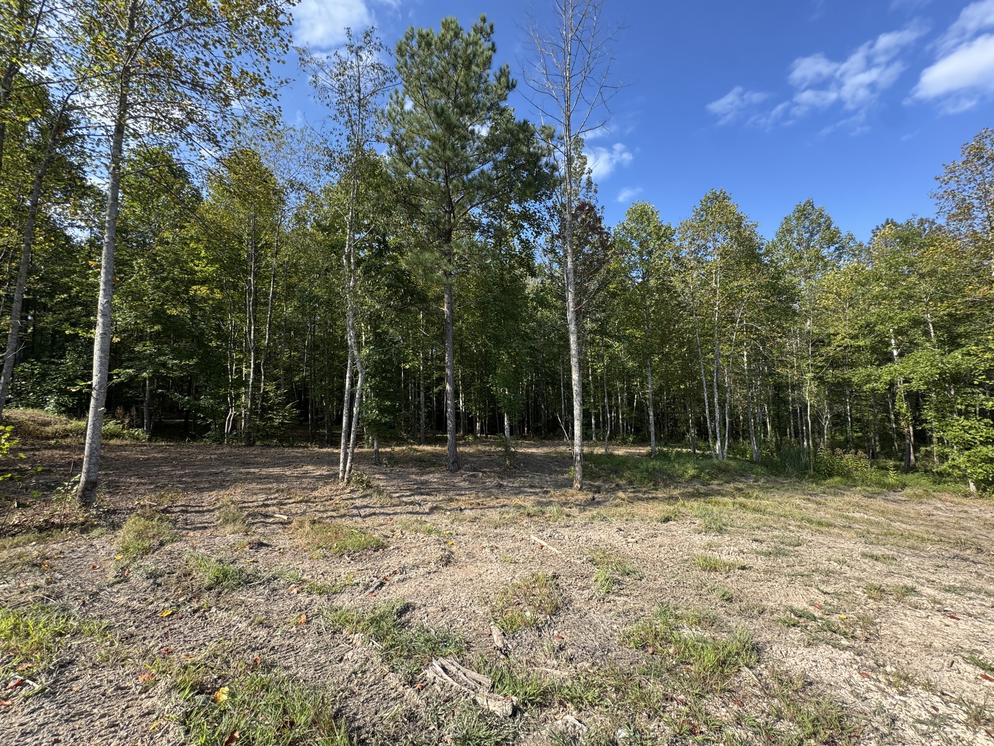 4715 Fortyeight Creek Road Waynesboro, TN 38485 - Photo 17 of 49