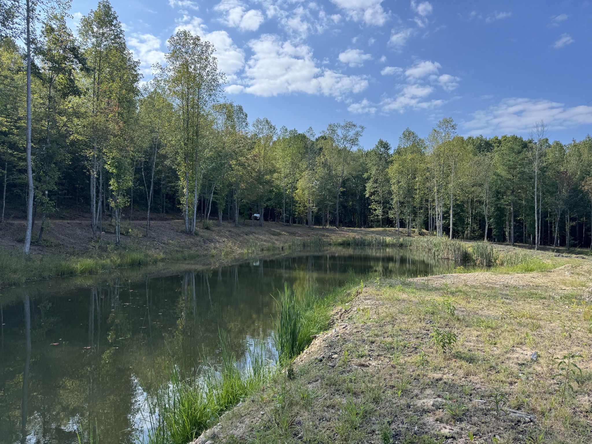 4715 Fortyeight Creek Road Waynesboro, TN 38485 - Photo 19 of 49