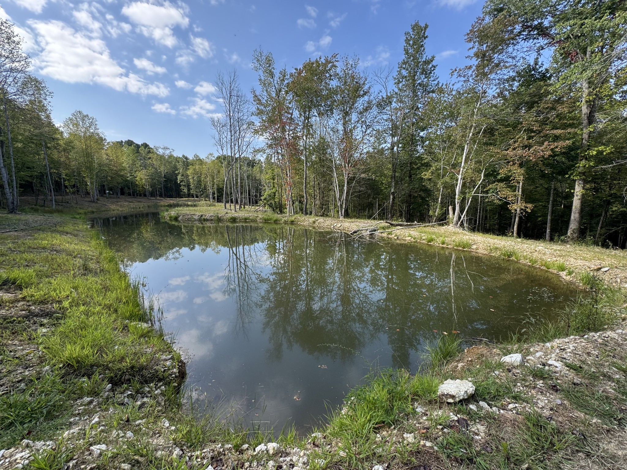 4715 Fortyeight Creek Road Waynesboro, TN 38485 - Photo 20 of 49