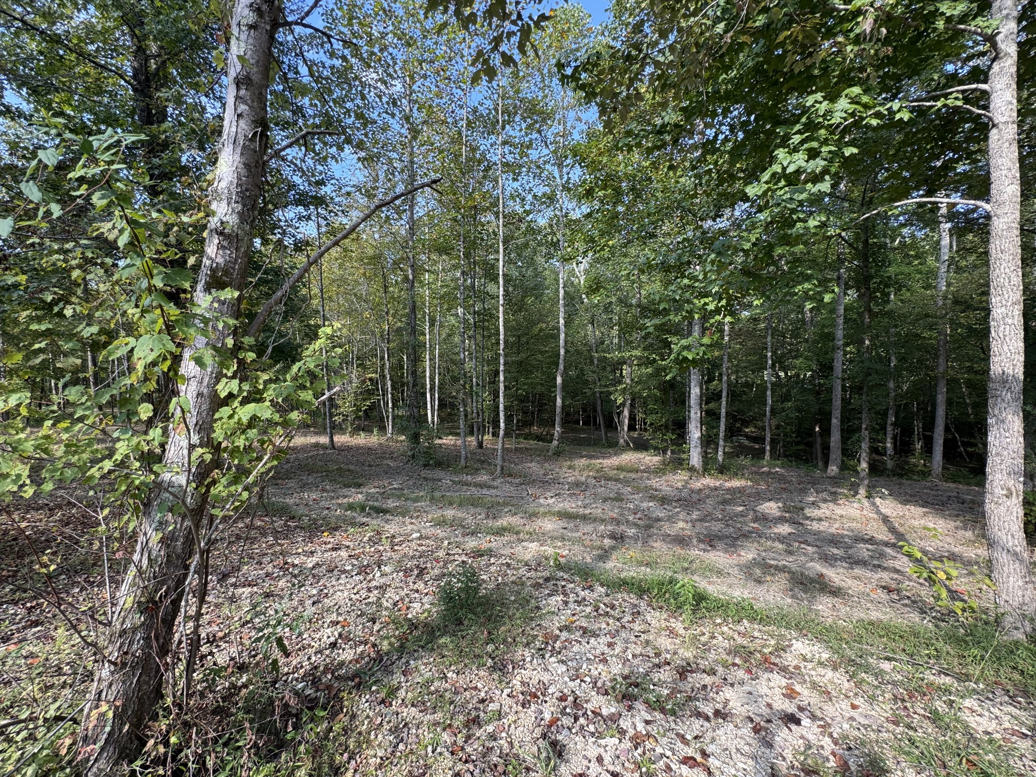 4715 Fortyeight Creek Road Waynesboro, TN 38485 - Photo 21 of 49