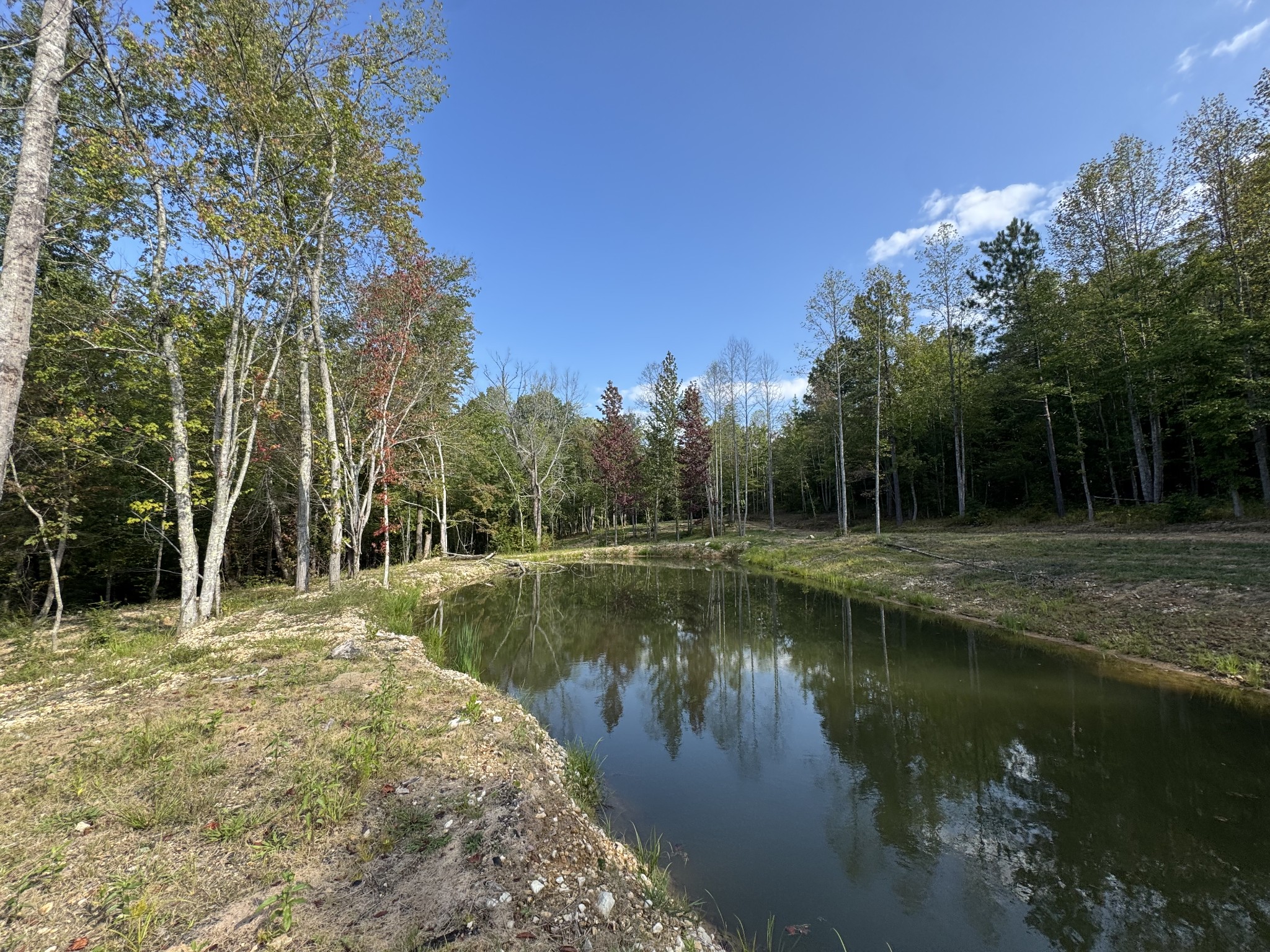 4715 Fortyeight Creek Road Waynesboro, TN 38485 - Photo 22 of 49