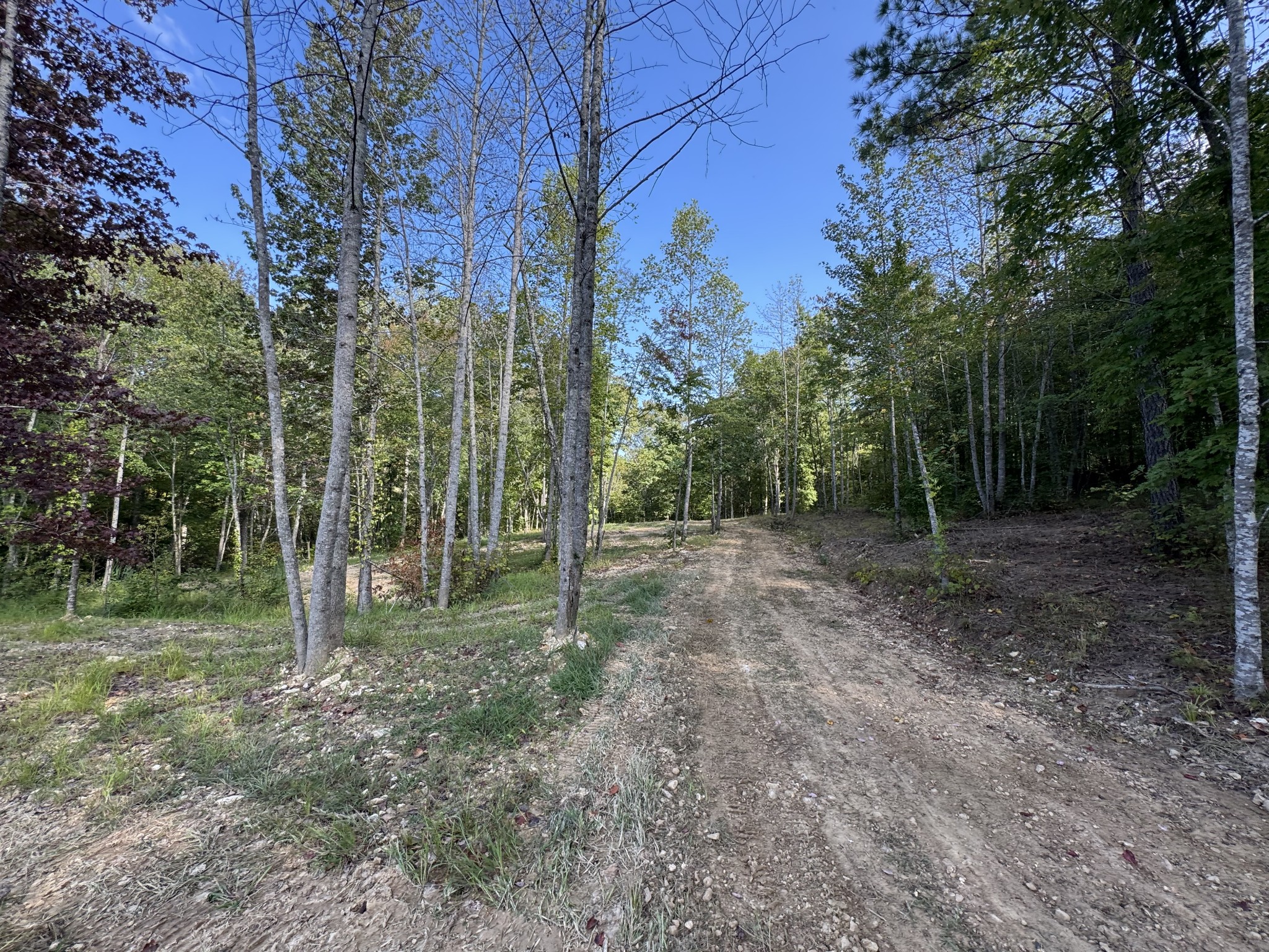 4715 Fortyeight Creek Road Waynesboro, TN 38485 - Photo 23 of 49