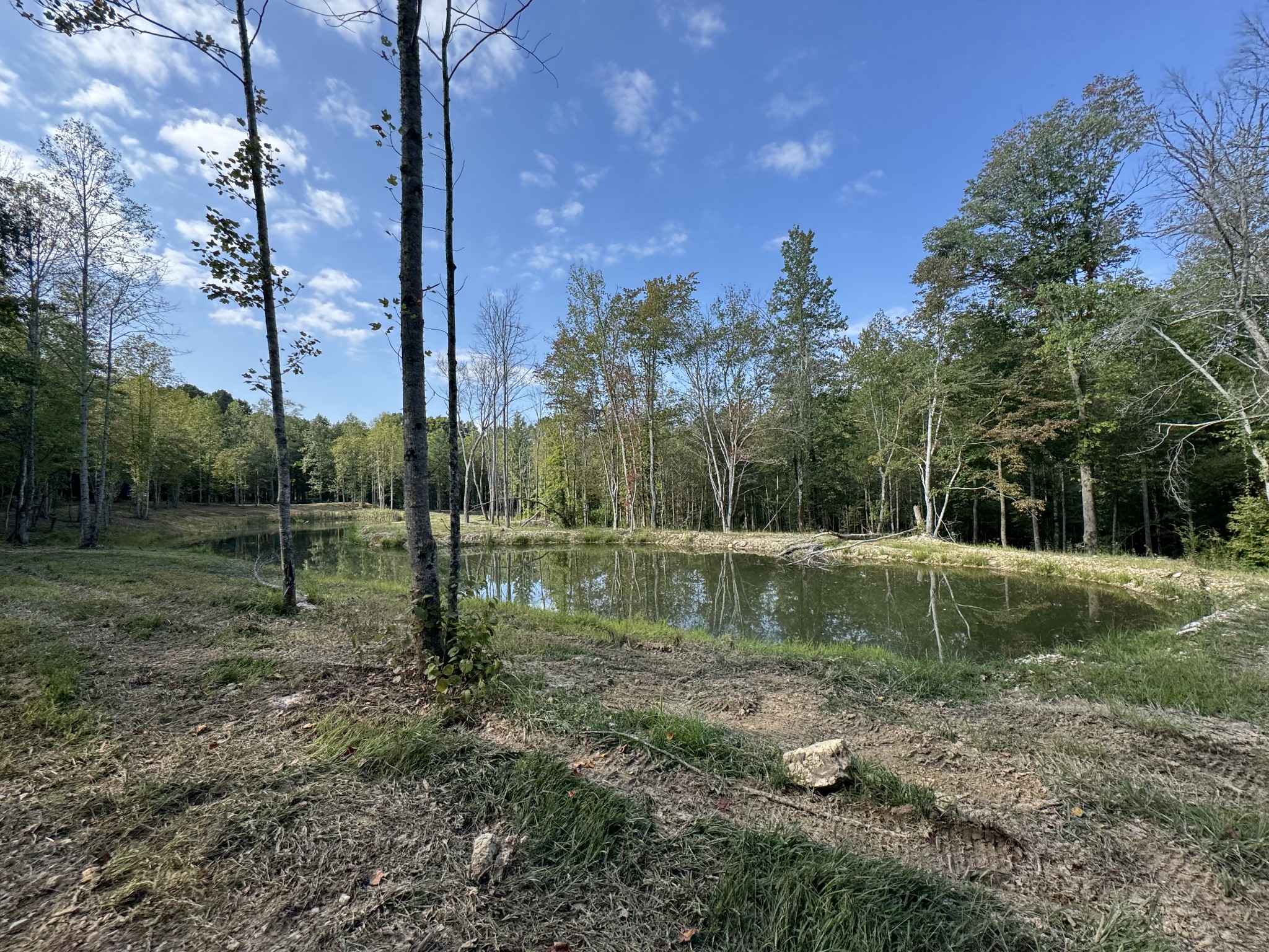 4715 Fortyeight Creek Road Waynesboro, TN 38485 - Photo 24 of 49