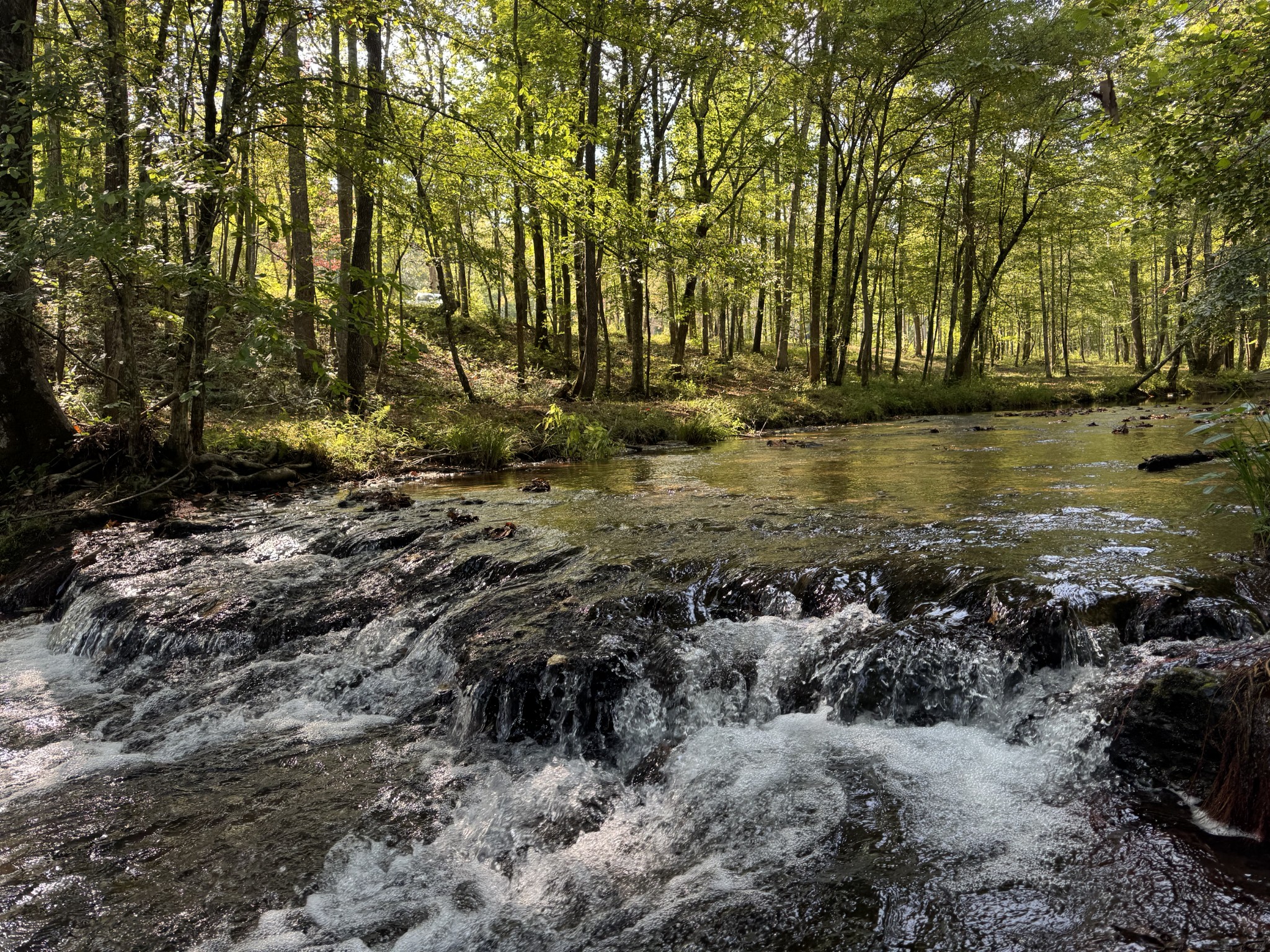 4715 Fortyeight Creek Road Waynesboro, TN 38485 - Photo 26 of 49