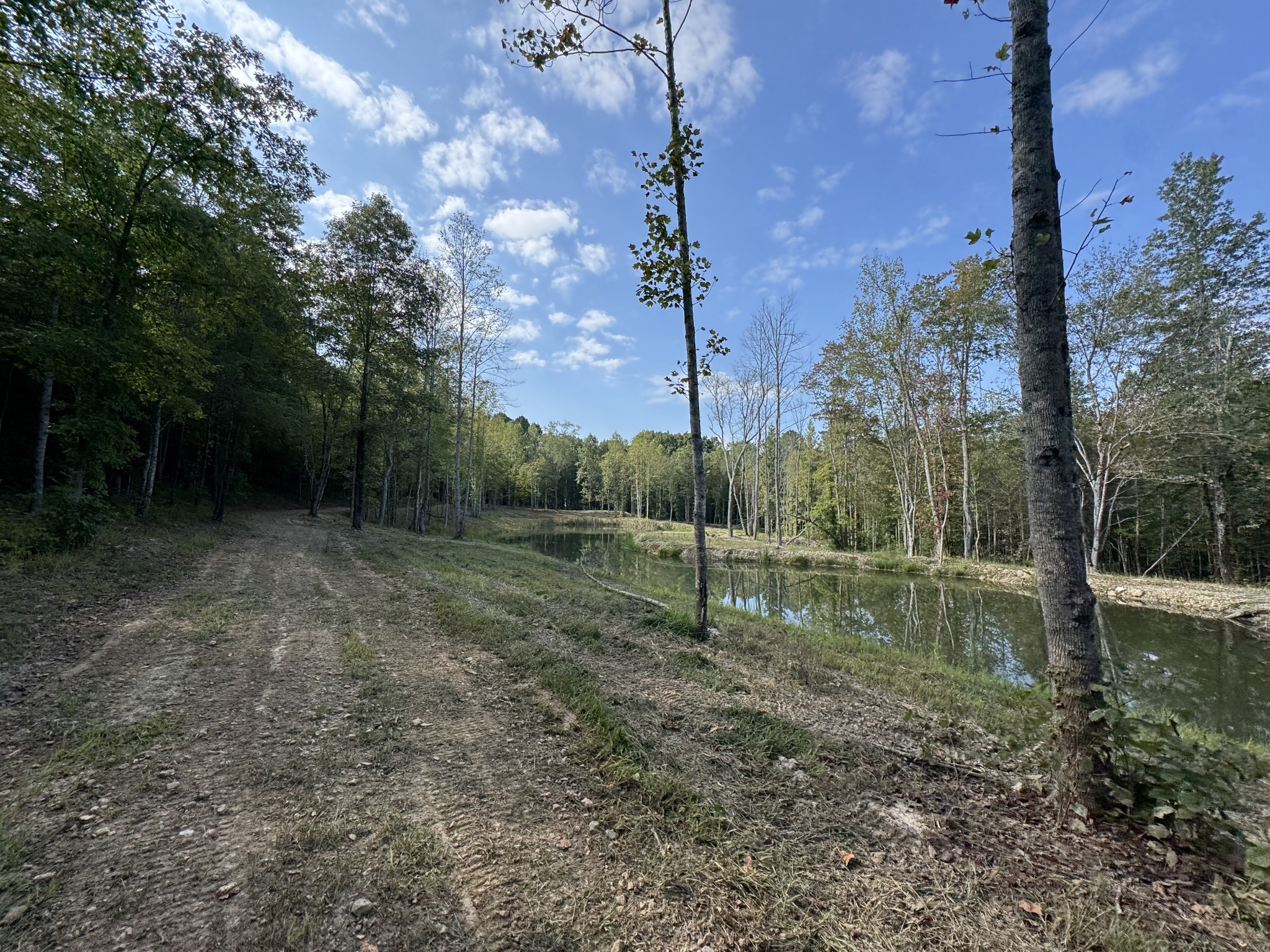 4715 Fortyeight Creek Road Waynesboro, TN 38485 - Photo 27 of 49