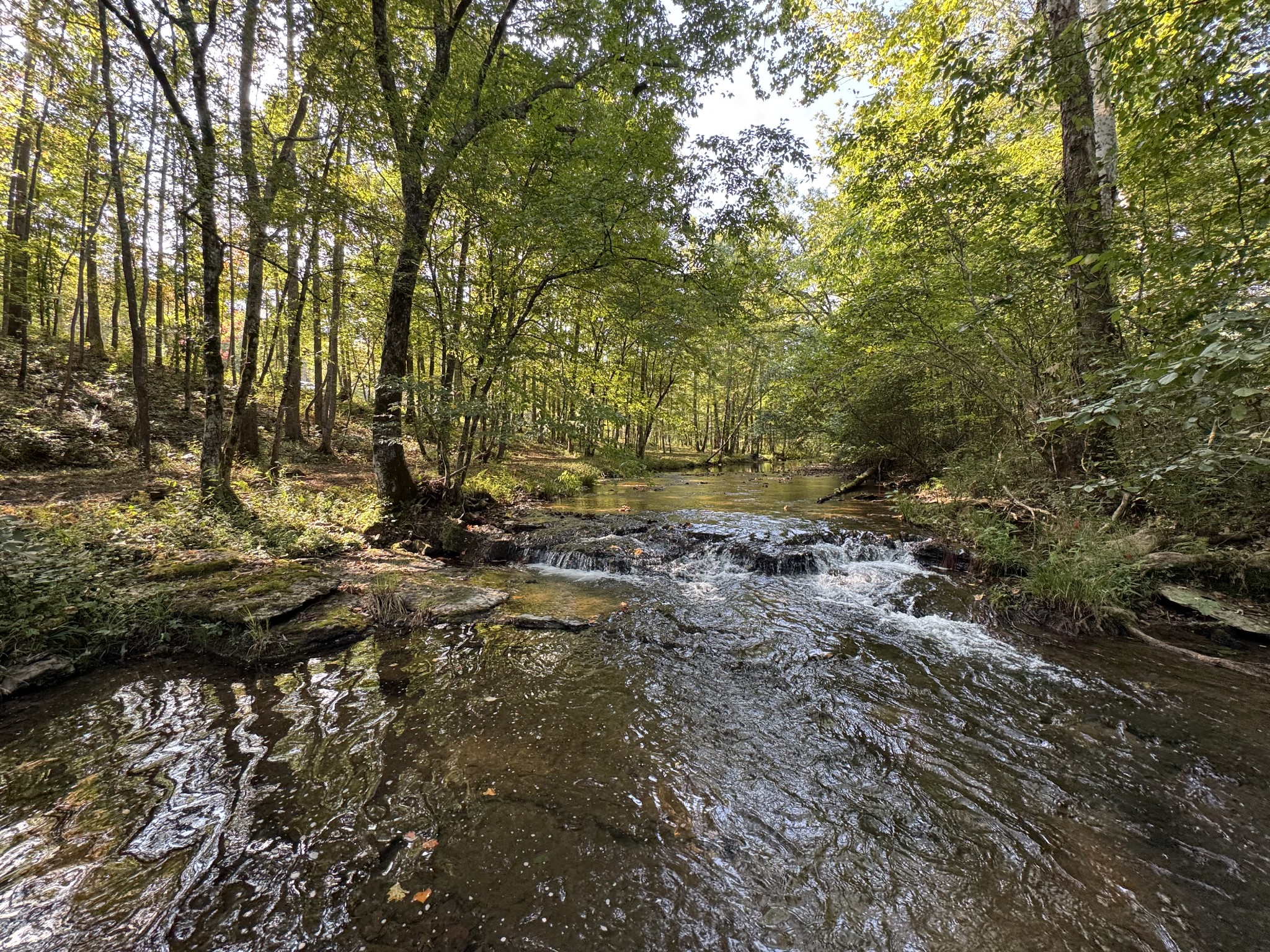 4715 Fortyeight Creek Road Waynesboro, TN 38485 - Photo 28 of 49