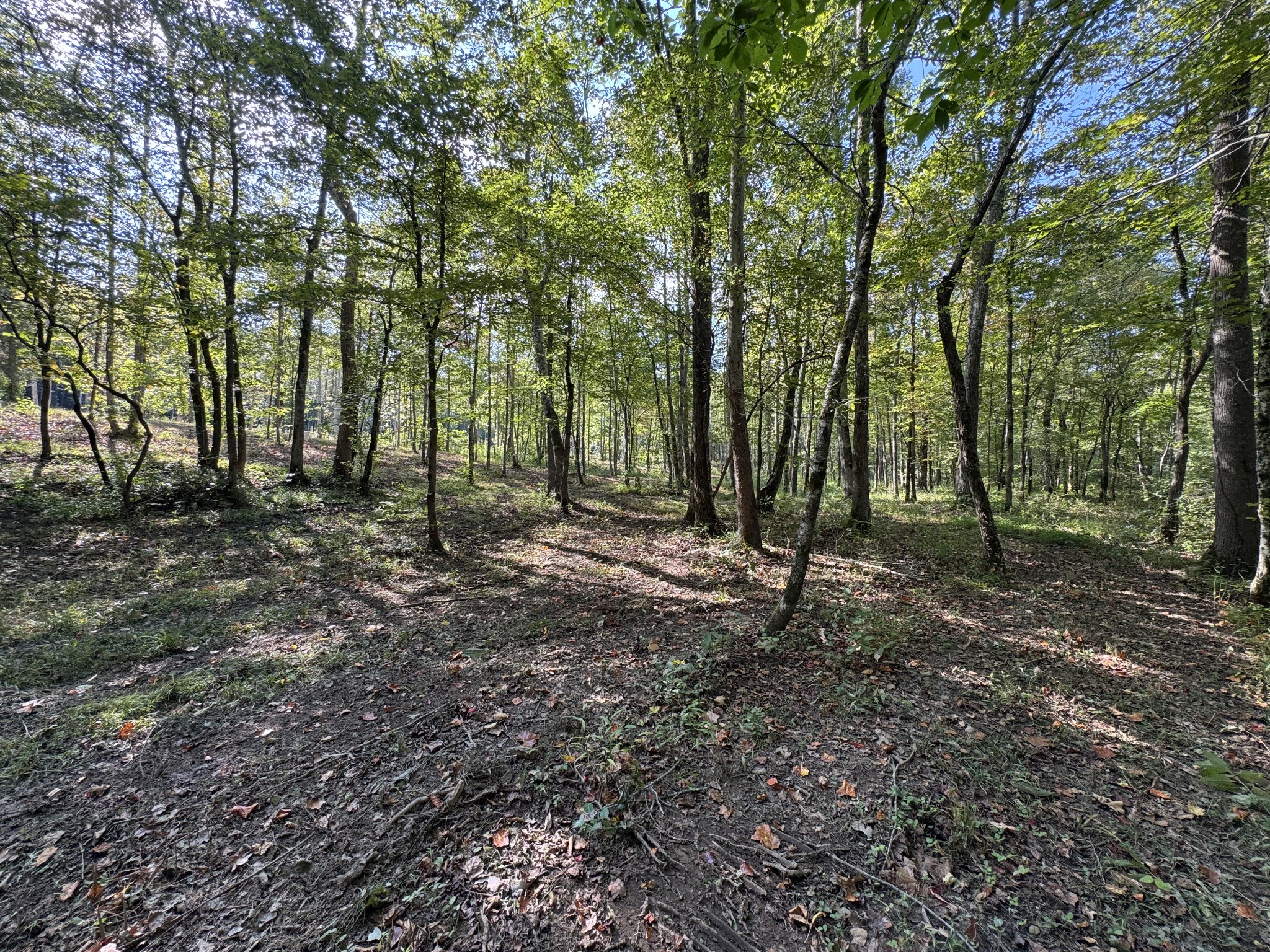 4715 Fortyeight Creek Road Waynesboro, TN 38485 - Photo 29 of 49