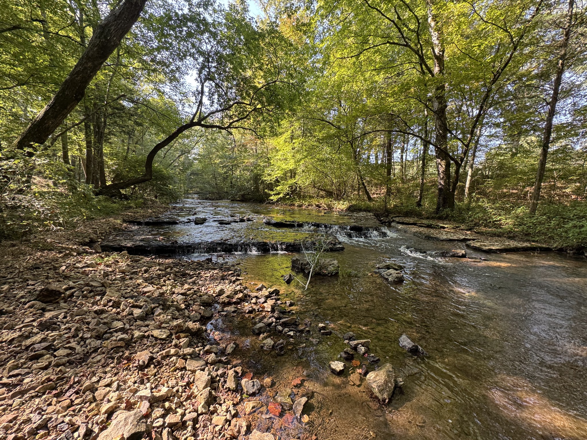 4715 Fortyeight Creek Road Waynesboro, TN 38485 - Photo 30 of 49