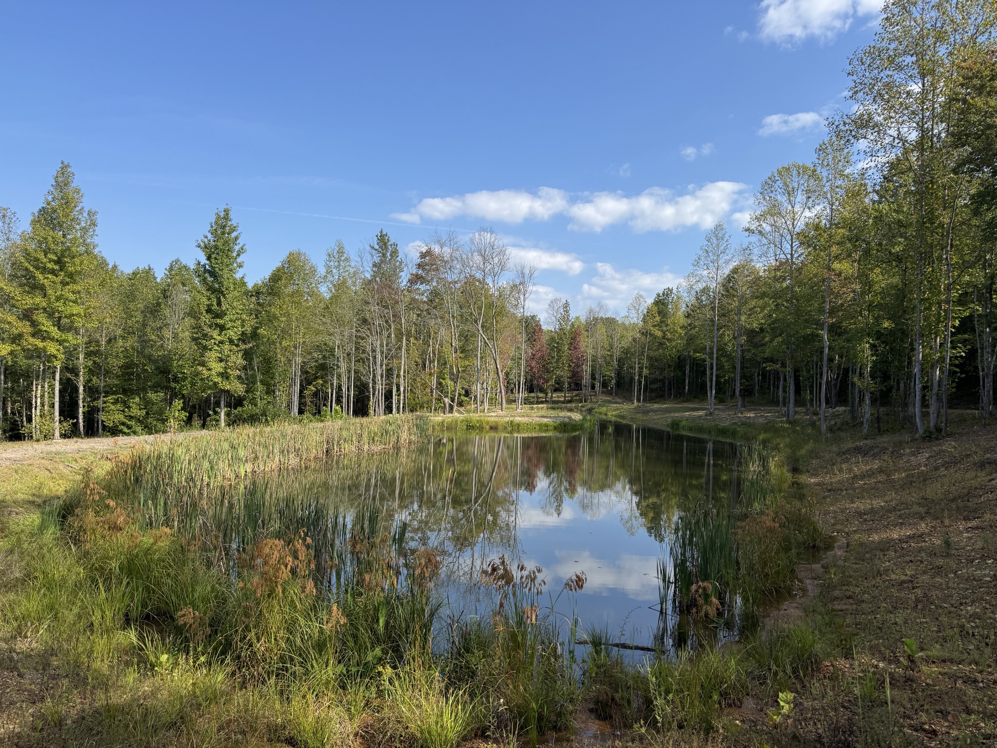 4715 Fortyeight Creek Road Waynesboro, TN 38485 - Photo 3 of 49