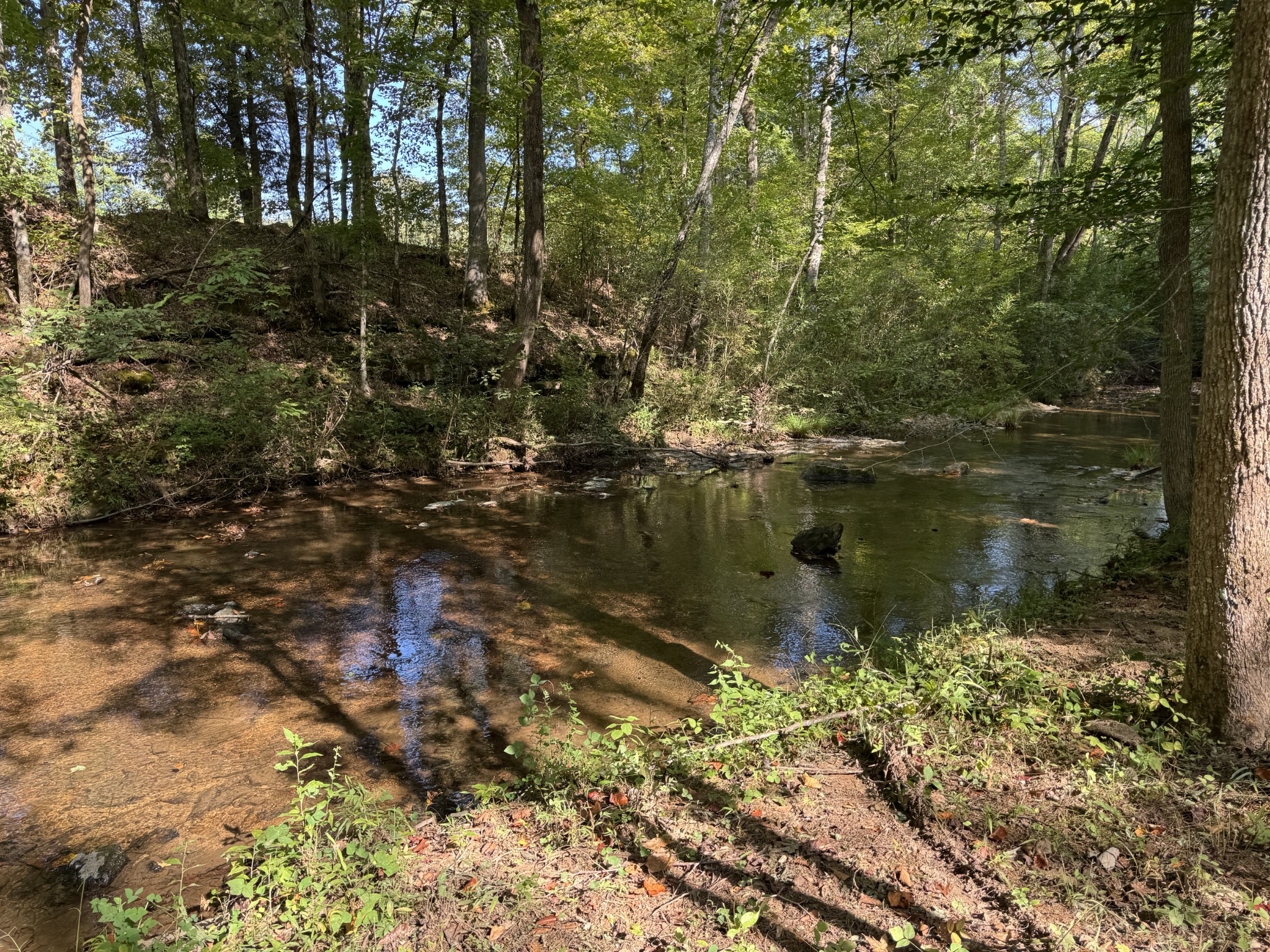 4715 Fortyeight Creek Road Waynesboro, TN 38485 - Photo 34 of 49