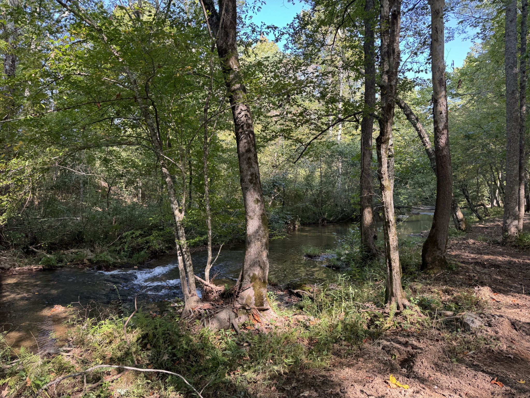 4715 Fortyeight Creek Road Waynesboro, TN 38485 - Photo 36 of 49