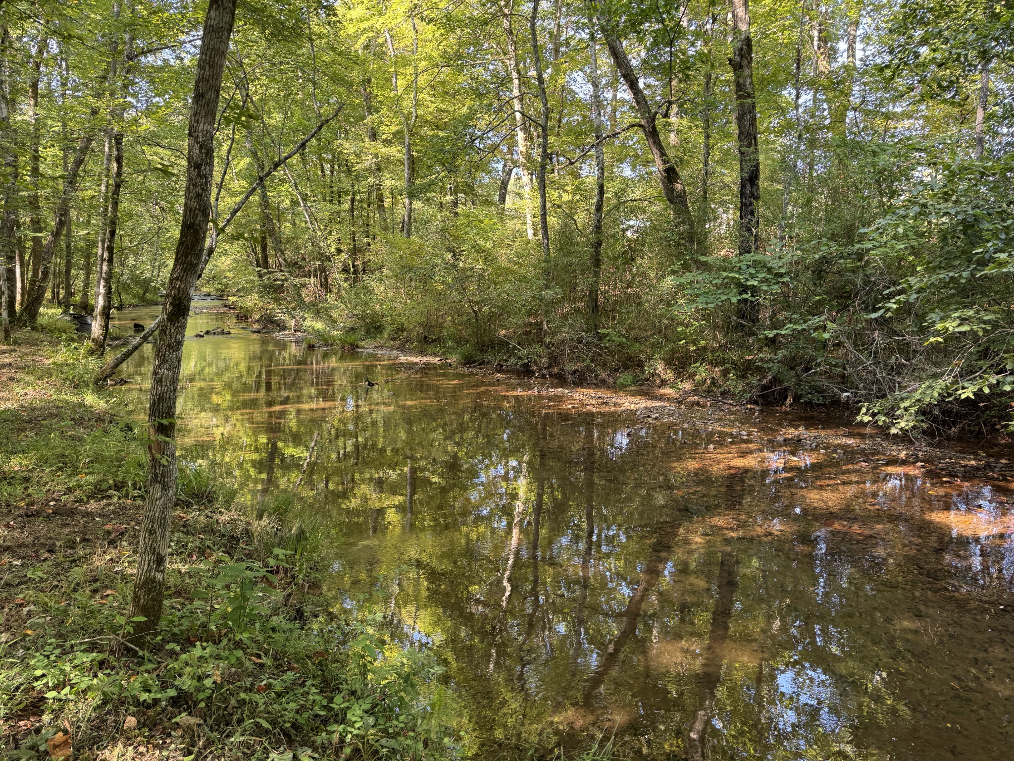 4715 Fortyeight Creek Road Waynesboro, TN 38485 - Photo 37 of 49