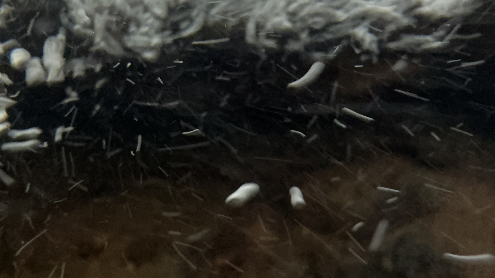 4715 Fortyeight Creek Road Waynesboro, TN 38485 - Photo 38 of 49