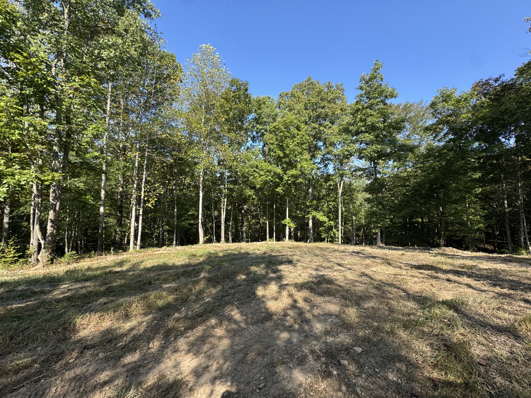 4715 Fortyeight Creek Road Waynesboro, TN 38485 - Photo 39 of 49