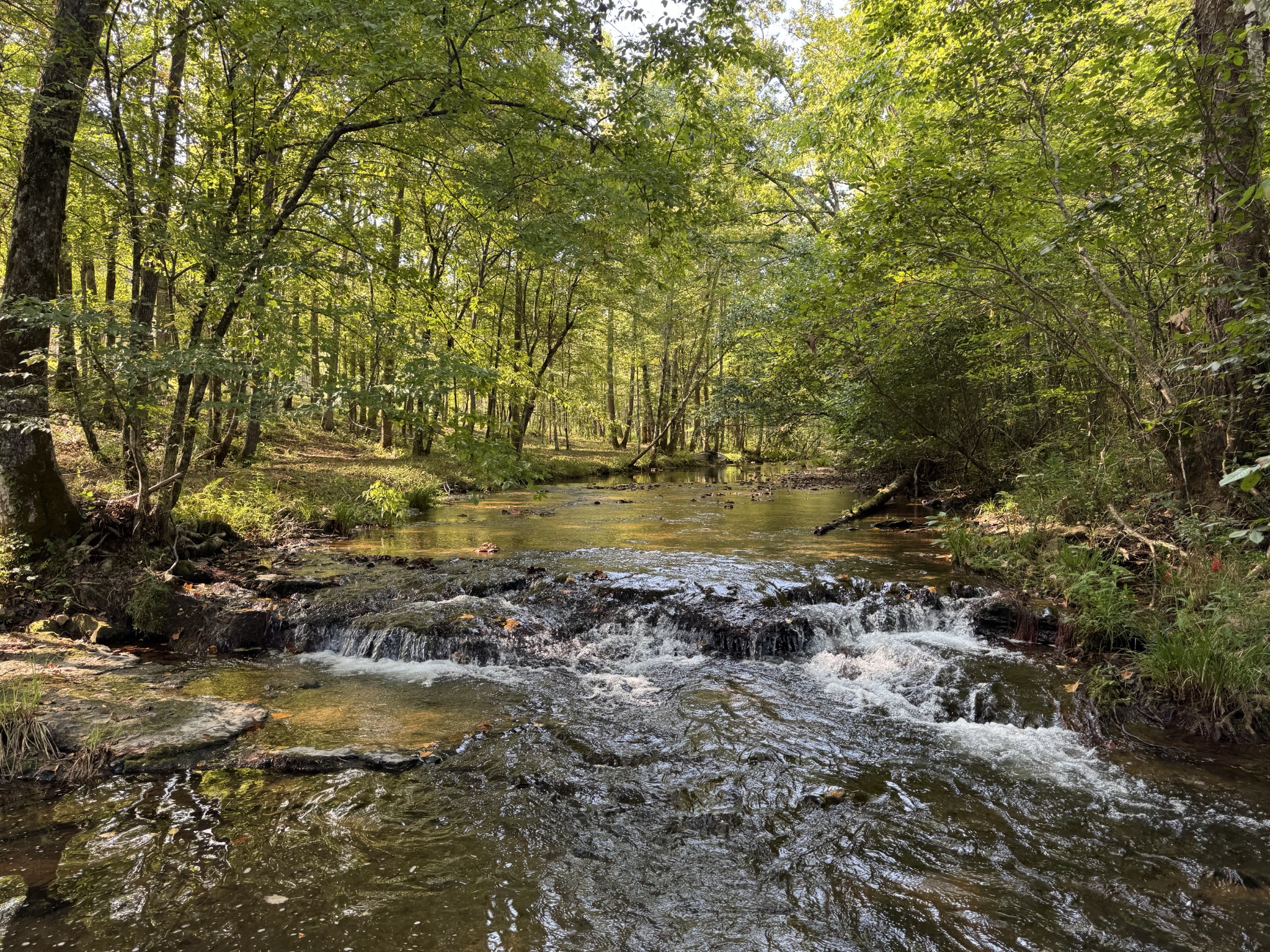 4715 Fortyeight Creek Road Waynesboro, TN 38485 - Photo 4 of 49