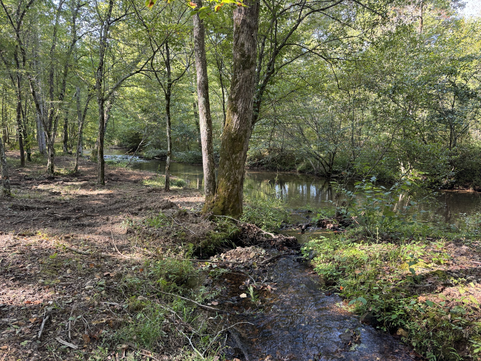 4715 Fortyeight Creek Road Waynesboro, TN 38485 - Photo 41 of 49