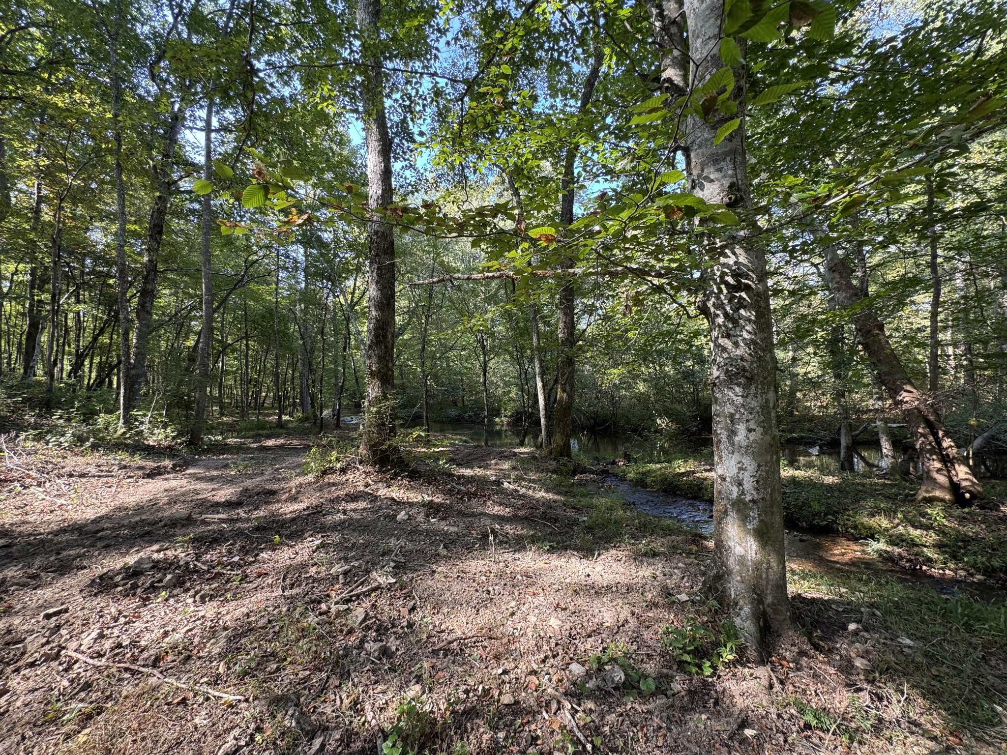 4715 Fortyeight Creek Road Waynesboro, TN 38485 - Photo 42 of 49