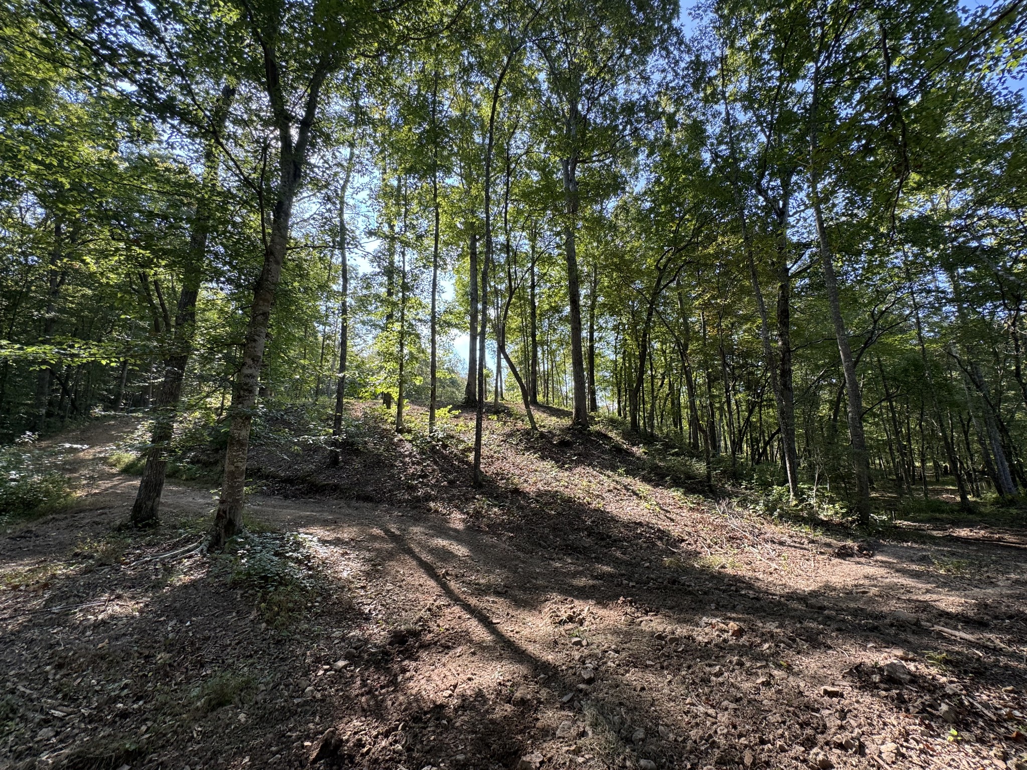 4715 Fortyeight Creek Road Waynesboro, TN 38485 - Photo 43 of 49