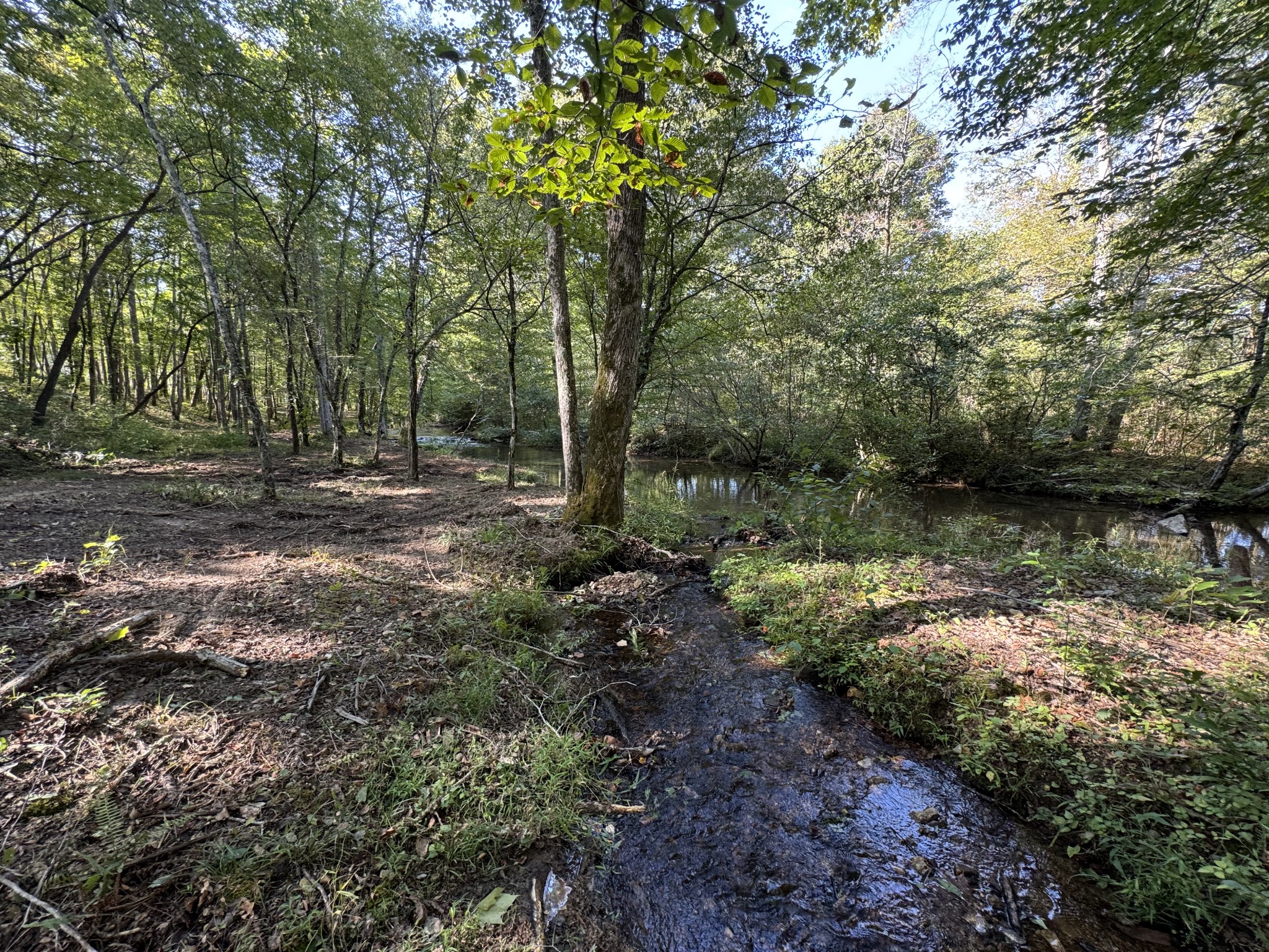 4715 Fortyeight Creek Road Waynesboro, TN 38485 - Photo 44 of 49